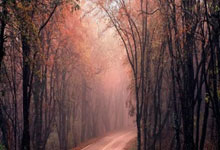 定制包装袋应计入什么科目成本,定制包装袋应计入什么科目成本费用