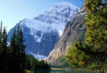 有没有定制包装袋的群啊,包装袋定制宣传语