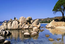 定制包装袋应计入什么科目成本,定制包装袋应计入什么科目成本费用